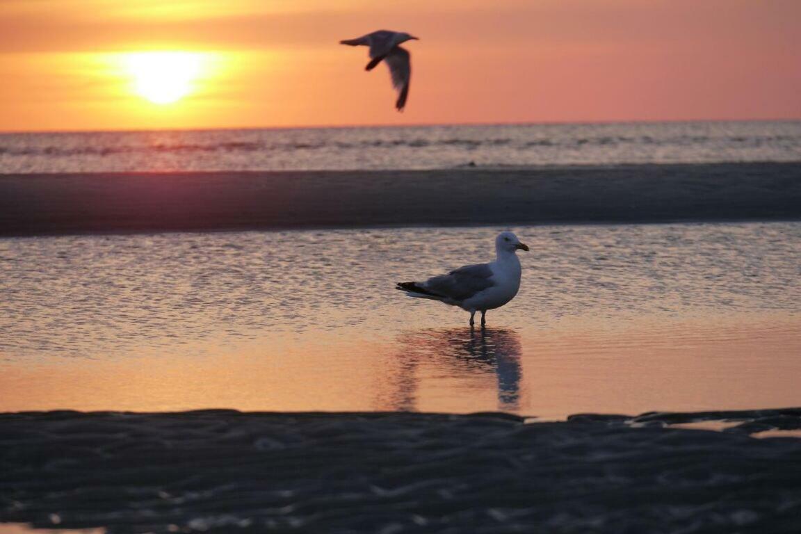 Fewo Buesum - Bella Mare - Nordseestrasse 3 Εξωτερικό φωτογραφία